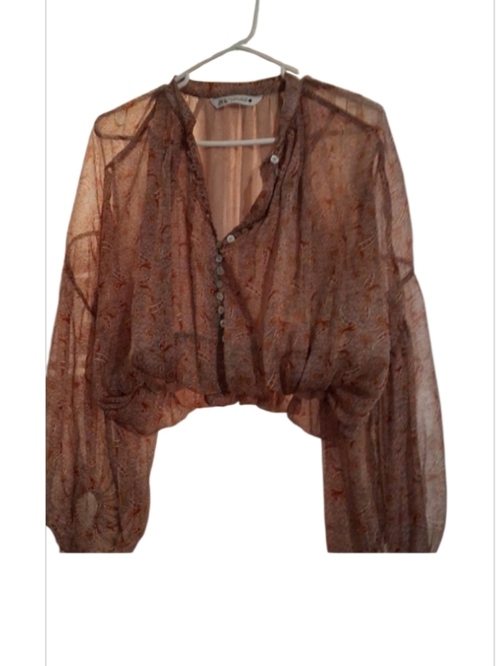 Zara Sheer Paisley Brown Button-Front Blouse